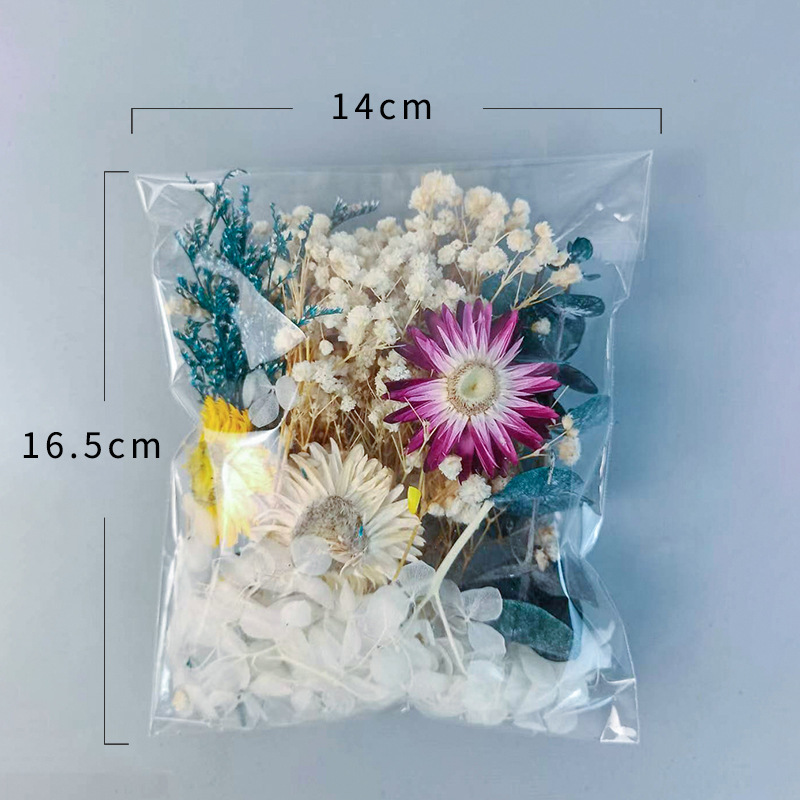 1パック多種多様なドライフラワーセットDIYクラフトホームウ - Embellish Craft のレビューと価格